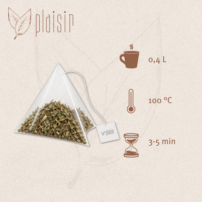 Plaisir Bio Menthe poivrée Tisane