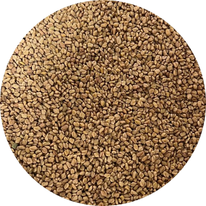 plaisir-bio-bockshornklee-open