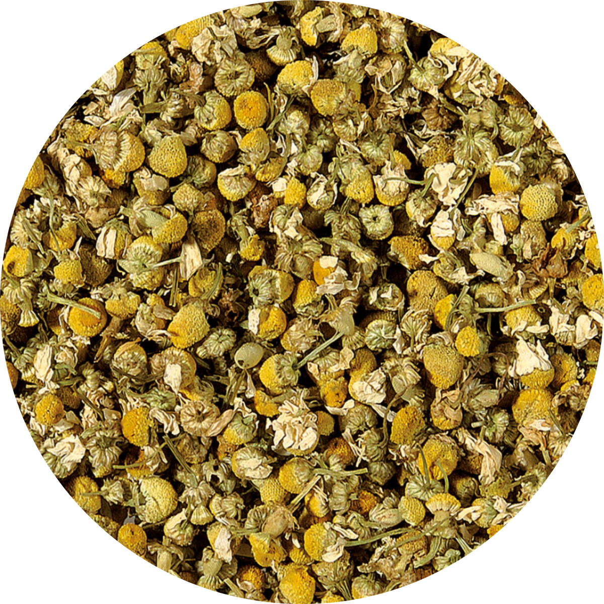 Plaisir Bio Camomille Tisane