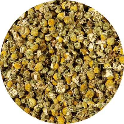 Plaisir Bio Camomille Tisane