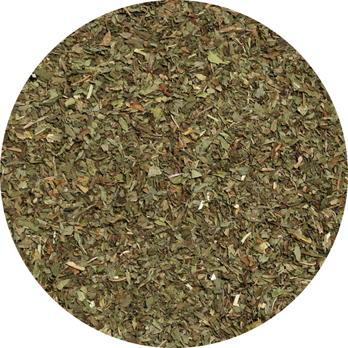 Plaisir Bio Menthe poivrée Tisane