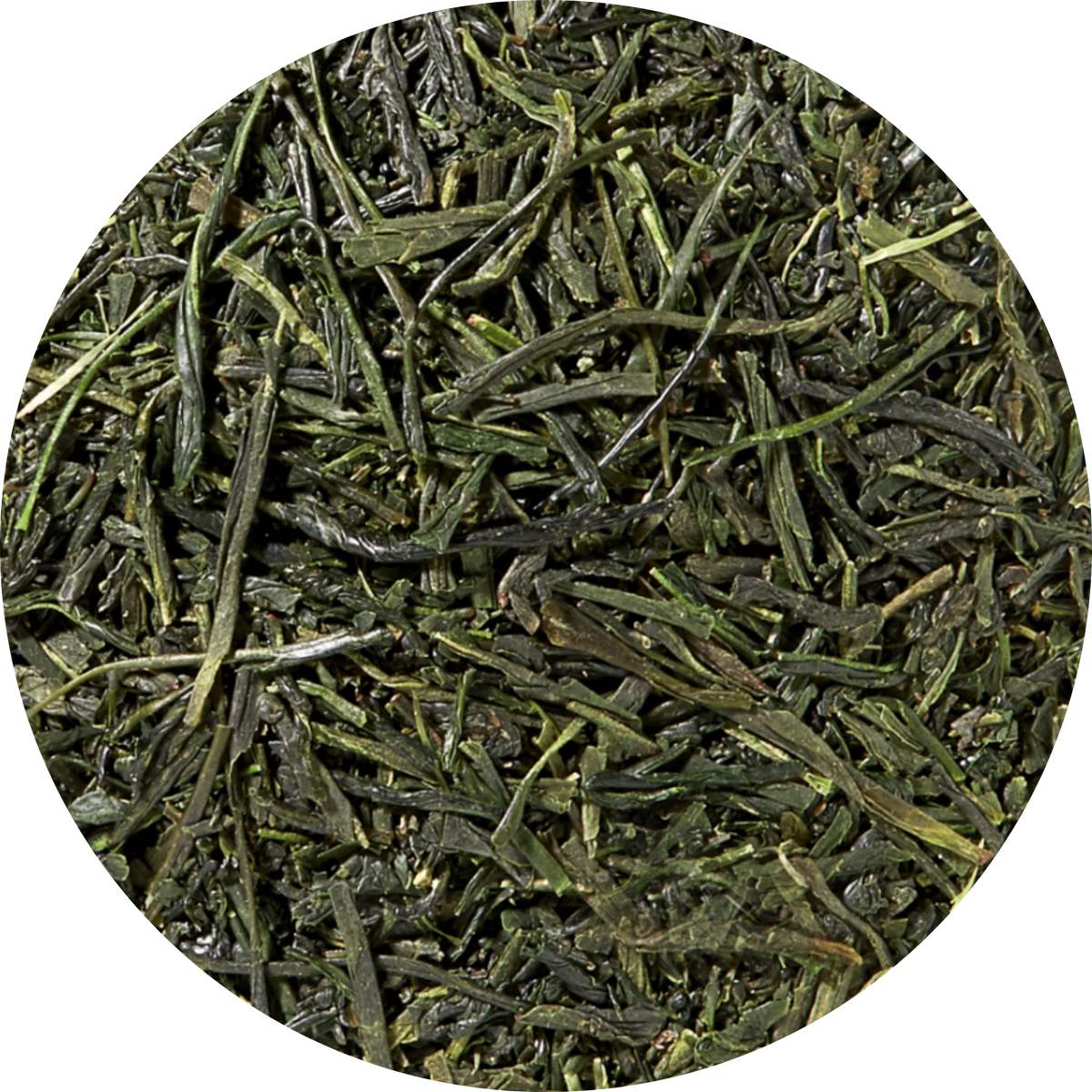 Plaisir Bio Sencha Uchiyama Thé Vert