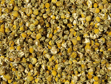 Fleurs de camomille bio