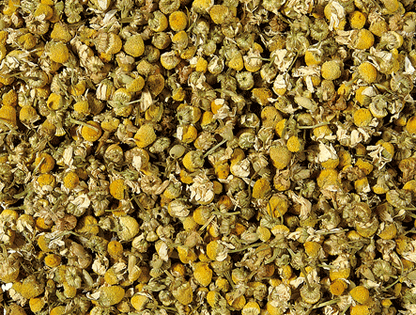 Fleurs de camomille bio