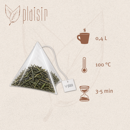 Plaisir Bio Sencha Uchiyama Thé Vert
